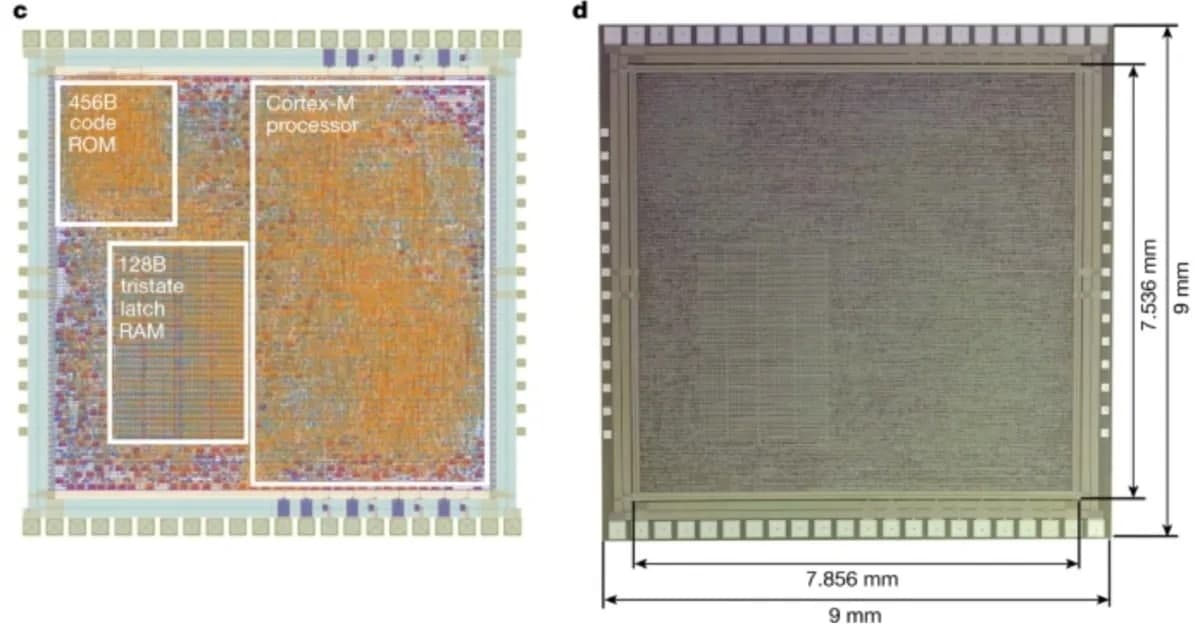 塑料做的芯片？ARM 寻求取代硅芯片以打造真正灵活的电子产品