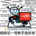 科技资讯:网愈云是什么梗