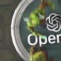 OpenAI的GPT2语言模型进行了调整 帮助您更快地编写代码