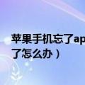 苹果手机忘了app设置问题怎么搞（苹果手机app的问题忘了怎么办）