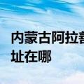 内蒙古阿拉善可提供海尔中央空调维修服务地址在哪