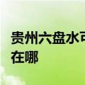 贵州六盘水可提供大金中央空调维修服务地址在哪