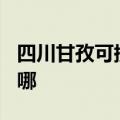 四川甘孜可提供TCL中央空调维修服务地址在哪