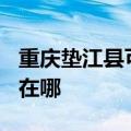 重庆垫江县可提供TCL中央空调维修服务地址在哪