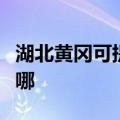 湖北黄冈可提供特灵中央空调维修服务地址在哪