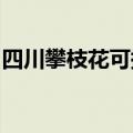 四川攀枝花可提供新飞冰箱维修服务地址在哪