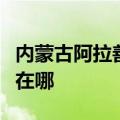 内蒙古阿拉善可提供卡萨帝冰箱维修服务地址在哪