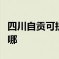 四川自贡可提供伊莱克斯冰箱维修服务地址在哪