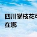 四川攀枝花可提供松下中央空调维修服务地址在哪