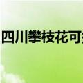 四川攀枝花可提供容声冰箱维修服务地址在哪