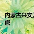 内蒙古兴安盟可提供TCL冰箱维修服务地址在哪