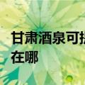 甘肃酒泉可提供格兰仕中央空调维修服务地址在哪