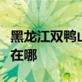 黑龙江双鸭山可提供海尔洗衣机维修服务地址在哪