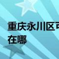 重庆永川区可提供格兰仕洗衣机维修服务地址在哪