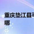 重庆垫江县可提供金羚洗衣机维修服务地址在哪