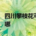 四川攀枝花可提供三洋洗衣机维修服务地址在哪