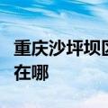 重庆沙坪坝区可提供金羚洗衣机维修服务地址在哪