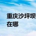 重庆沙坪坝区可提供LG洗衣机维修服务地址在哪