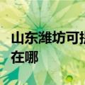 山东潍坊可提供阿里斯顿壁挂炉维修服务地址在哪