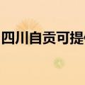 四川自贡可提供林内壁挂炉维修服务地址在哪