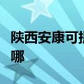 陕西安康可提供瑞帝安壁挂炉维修服务地址在哪