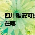 四川雅安可提供瑰都啦咪壁挂炉维修服务地址在哪