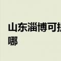 山东淄博可提供帝博仕壁挂炉维修服务地址在哪