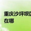 重庆沙坪坝区可提供博世壁挂炉维修服务地址在哪