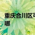 重庆合川区可提供火王壁挂炉维修服务地址在哪