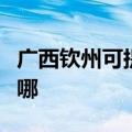 广西钦州可提供卡洛力壁挂炉维修服务地址在哪