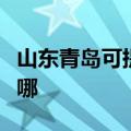 山东青岛可提供瑞帝安壁挂炉维修服务地址在哪