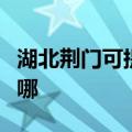 湖北荆门可提供菲斯曼壁挂炉维修服务地址在哪