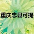 重庆忠县可提供火王壁挂炉维修服务地址在哪