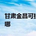 甘肃金昌可提供格兰仕洗碗机维修服务地址在哪