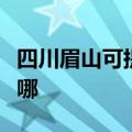 四川眉山可提供瑞帝安壁挂炉维修服务地址在哪