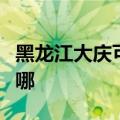 黑龙江大庆可提供东芝洗碗机维修服务地址在哪