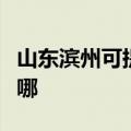 山东滨州可提供卡洛力壁挂炉维修服务地址在哪