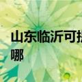 山东临沂可提供新科家庭影院维修服务地址在哪