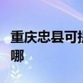 重庆忠县可提供哈曼卡顿音响维修服务地址在哪