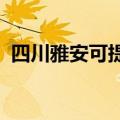 四川雅安可提供新科音响维修服务地址在哪