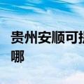 贵州安顺可提供新科家庭影院维修服务地址在哪