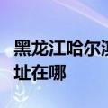 黑龙江哈尔滨可提供安桥家庭影院维修服务地址在哪