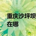 重庆沙坪坝区可提供aigo音响维修服务地址在哪