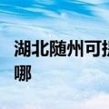 湖北随州可提供安桥家庭影院维修服务地址在哪