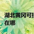 湖北黄冈可提供马兰士家庭影院维修服务地址在哪