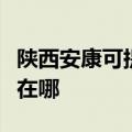 陕西安康可提供马兰士家庭影院维修服务地址在哪