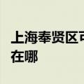 上海奉贤区可提供新科家庭影院维修服务地址在哪