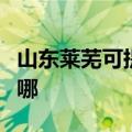 山东莱芜可提供西门子微波炉维修服务地址在哪