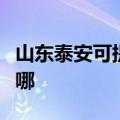 山东泰安可提供海尔抽油烟机维修服务地址在哪