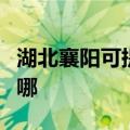 湖北襄阳可提供飞利浦微波炉维修服务地址在哪